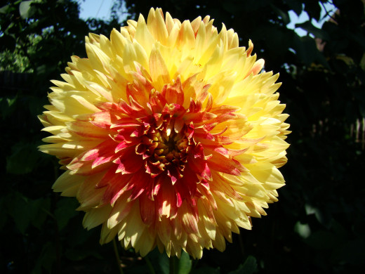 754916 (a): :2048x1536